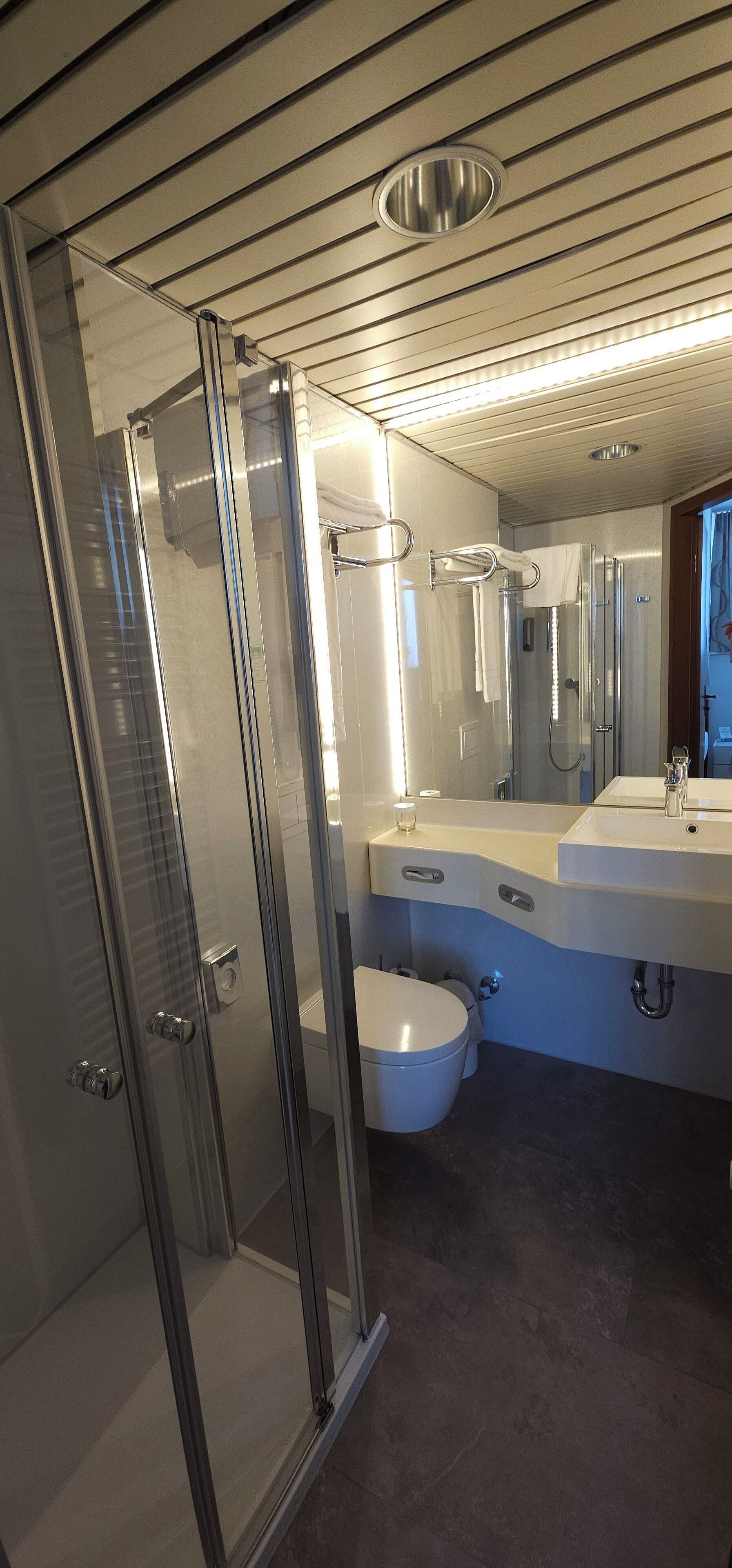 comfort double room (plus) | bathroom | shower, free toiletries, hair dryer, towels