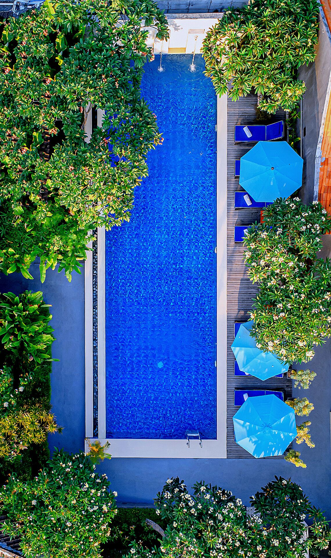 Outdoor pool, open 8:00 AM to 9:00 PM, pool umbrellas, sun loungers