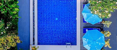 Una piscina al aire libre, sombrillas, sillones reclinables de piscina