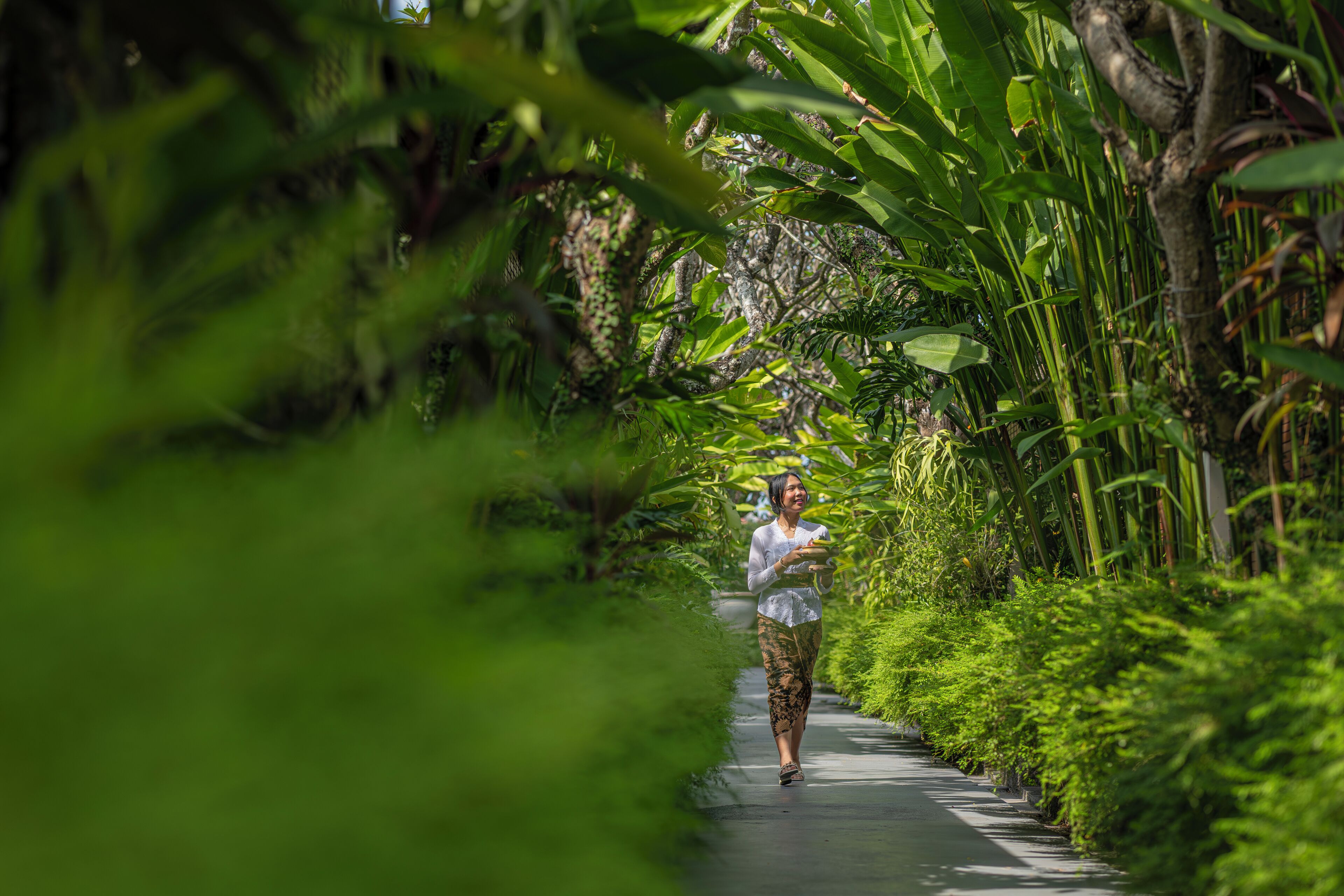 A pathway surrounded by lush greenery and a person walking.