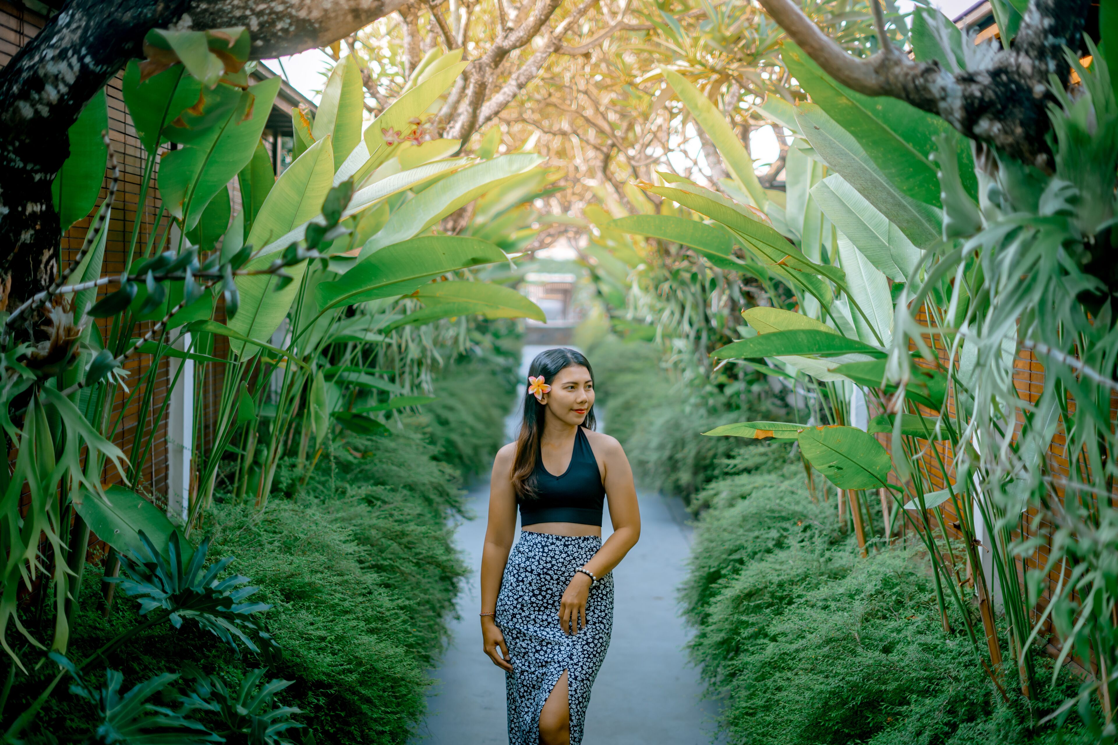 Un sentier bordé d’une végétation luxuriante et de plantes.