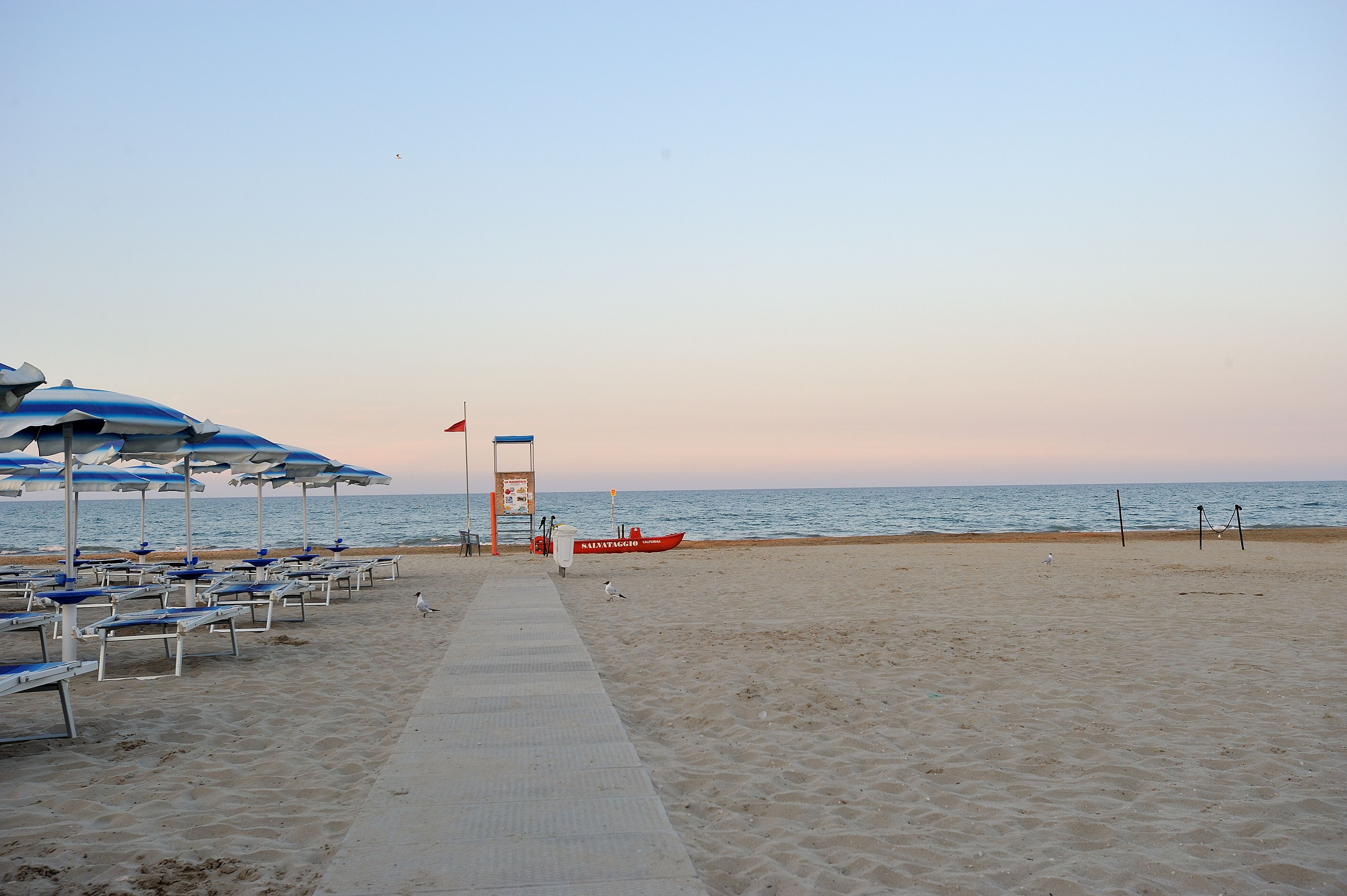 Una playa con hileras de sombrillas azules y sillas reclinables blancas, una torre de salvavidas y un bote rojo.