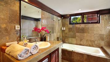 Shower, free toiletries, hair dryer, bidet