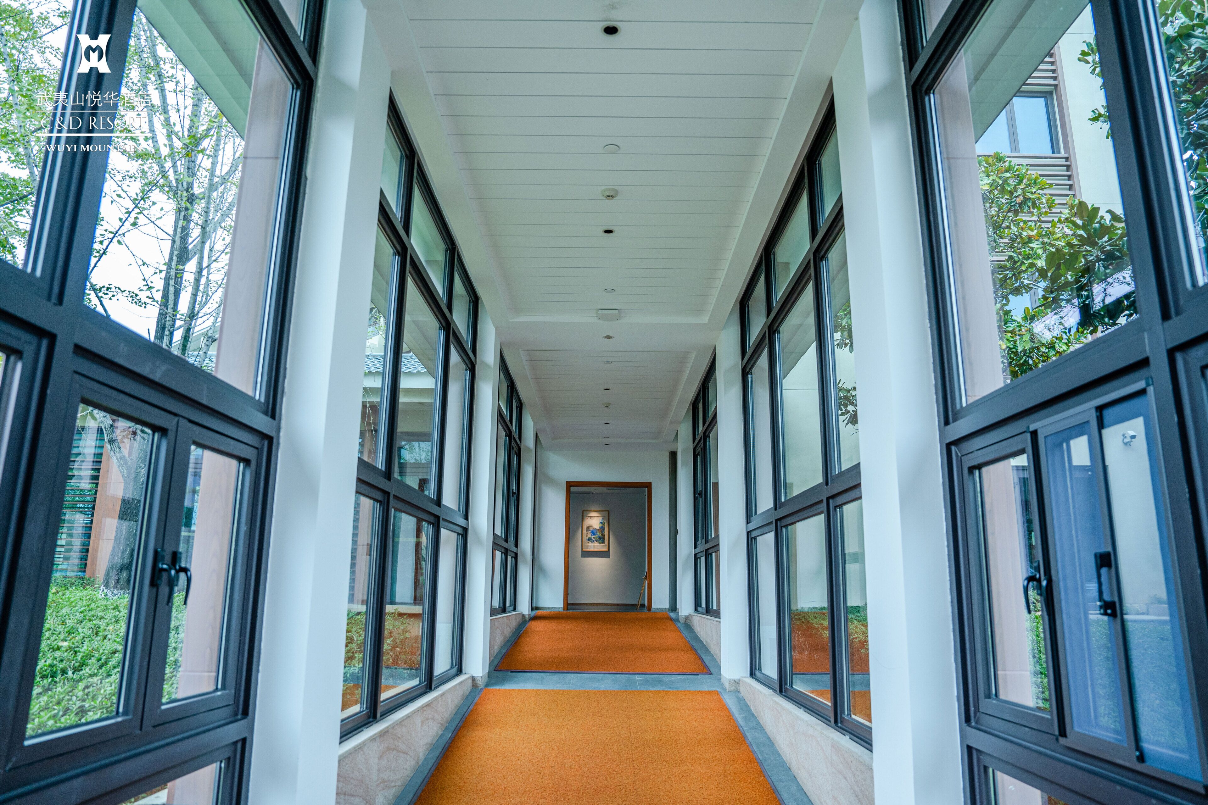 A corridor with large windows, a carpeted floor, and a framed artwork on the wall.