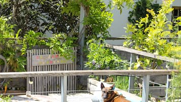 Animaux de compagnie acceptés