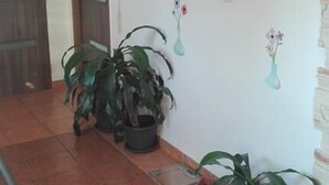 Un pasillo con suelo de baldosas, puertas de madera y plantas en macetas.