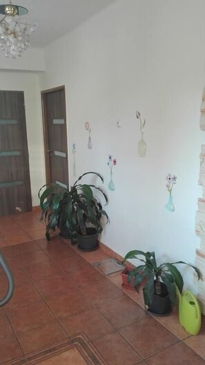 Escritorio, cortinas opacas, sistema de insonorización