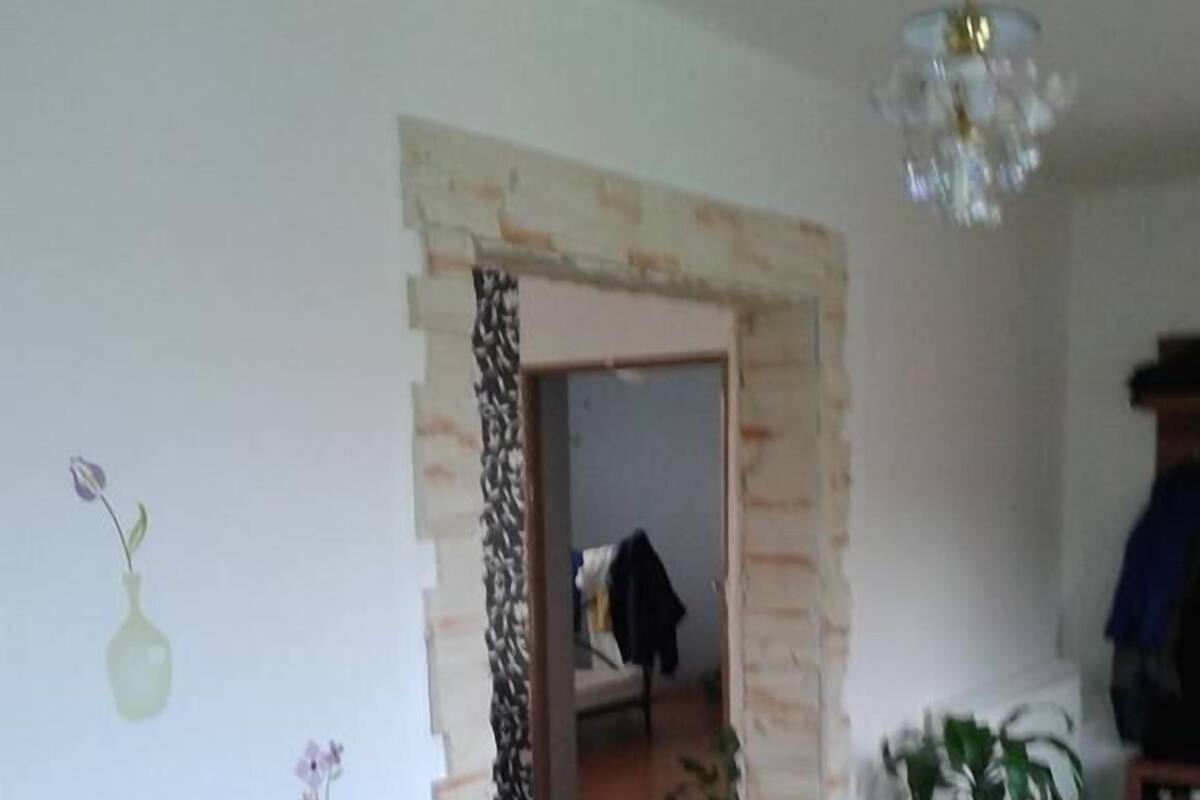 A room with a wooden floor, a doorway leading to another room, and several potted plants.