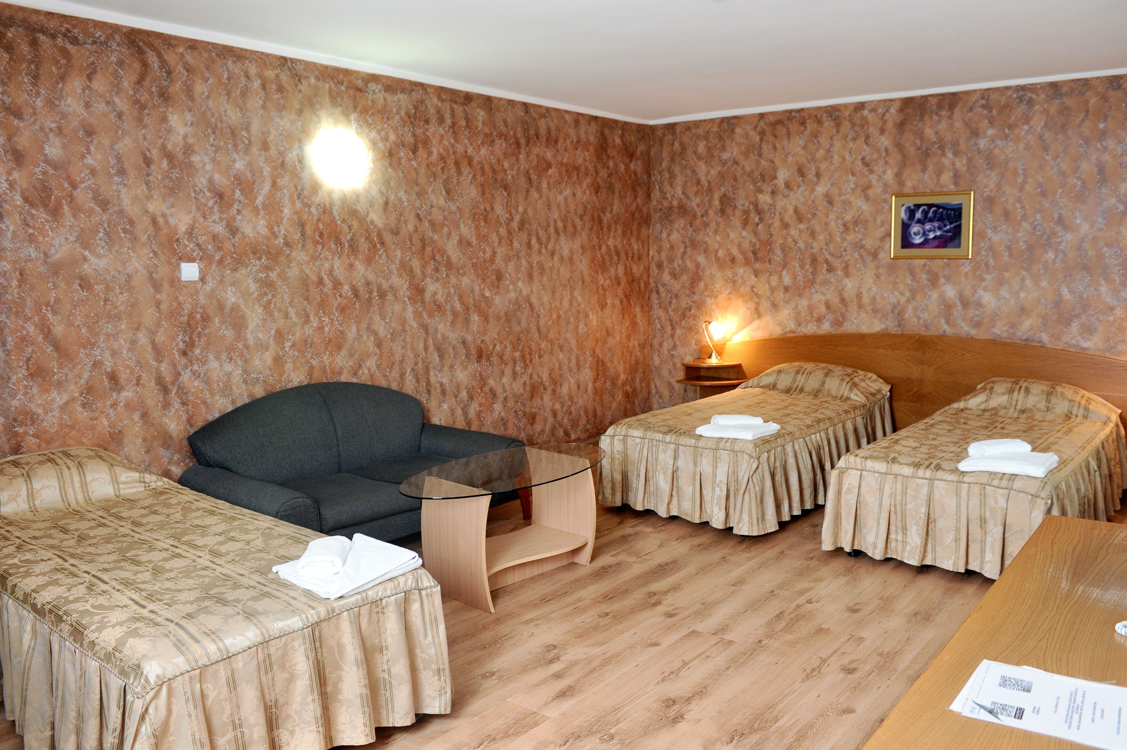 triple room | living area | tv