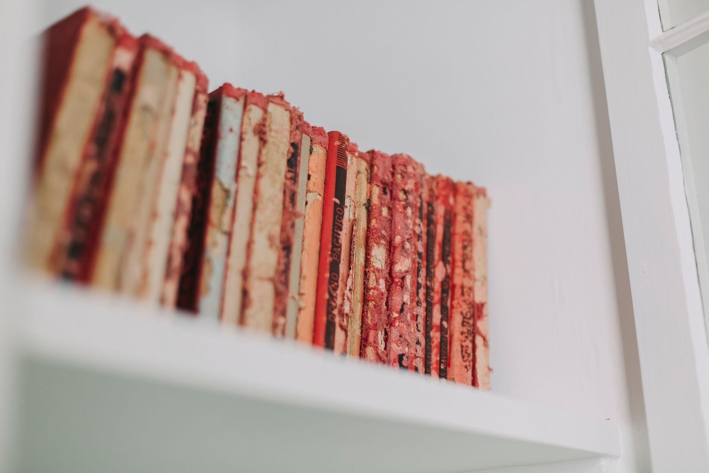 A row of books on a white shelf.