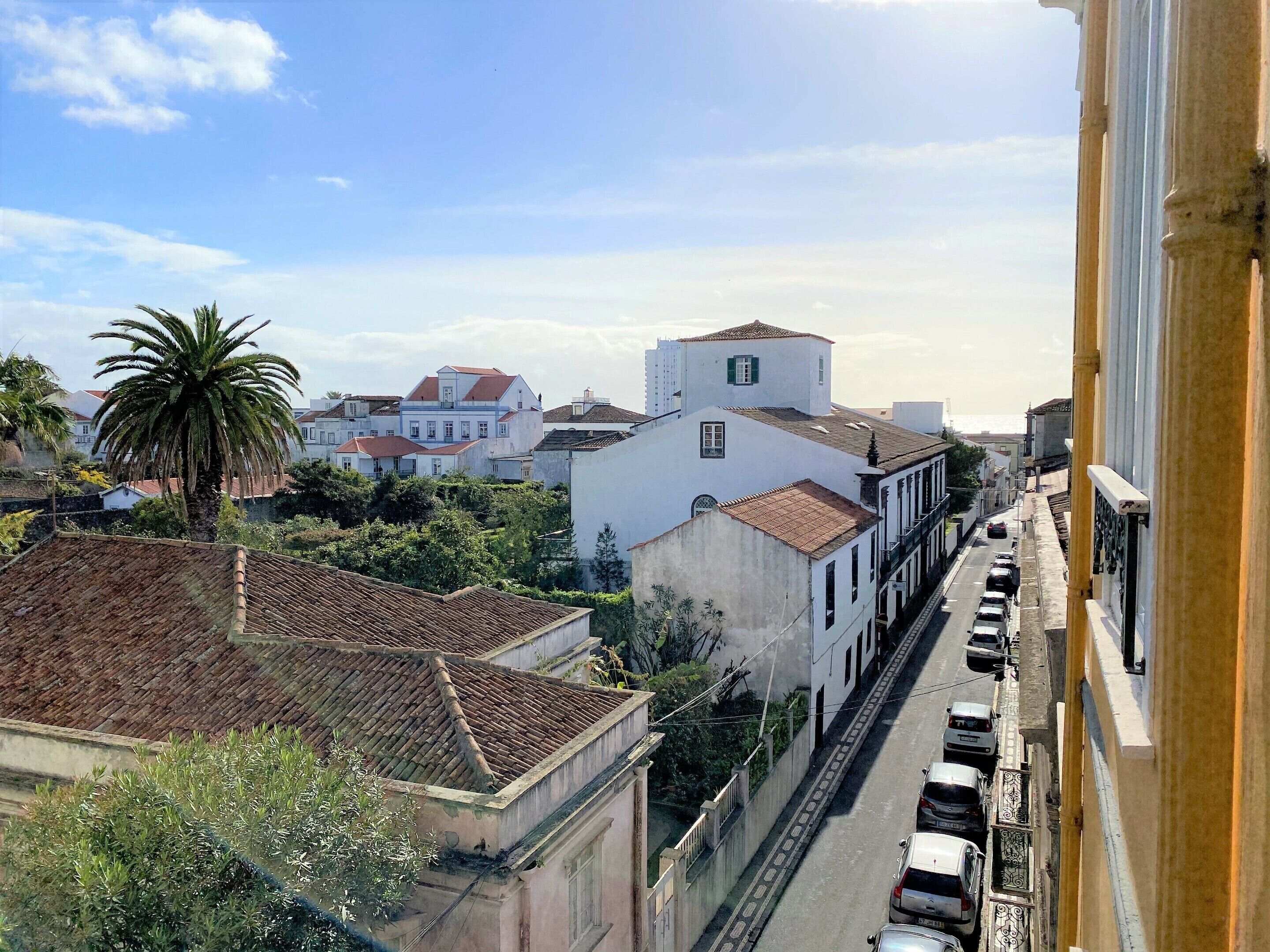 A street view with buildings, parked cars, and a palm tree.