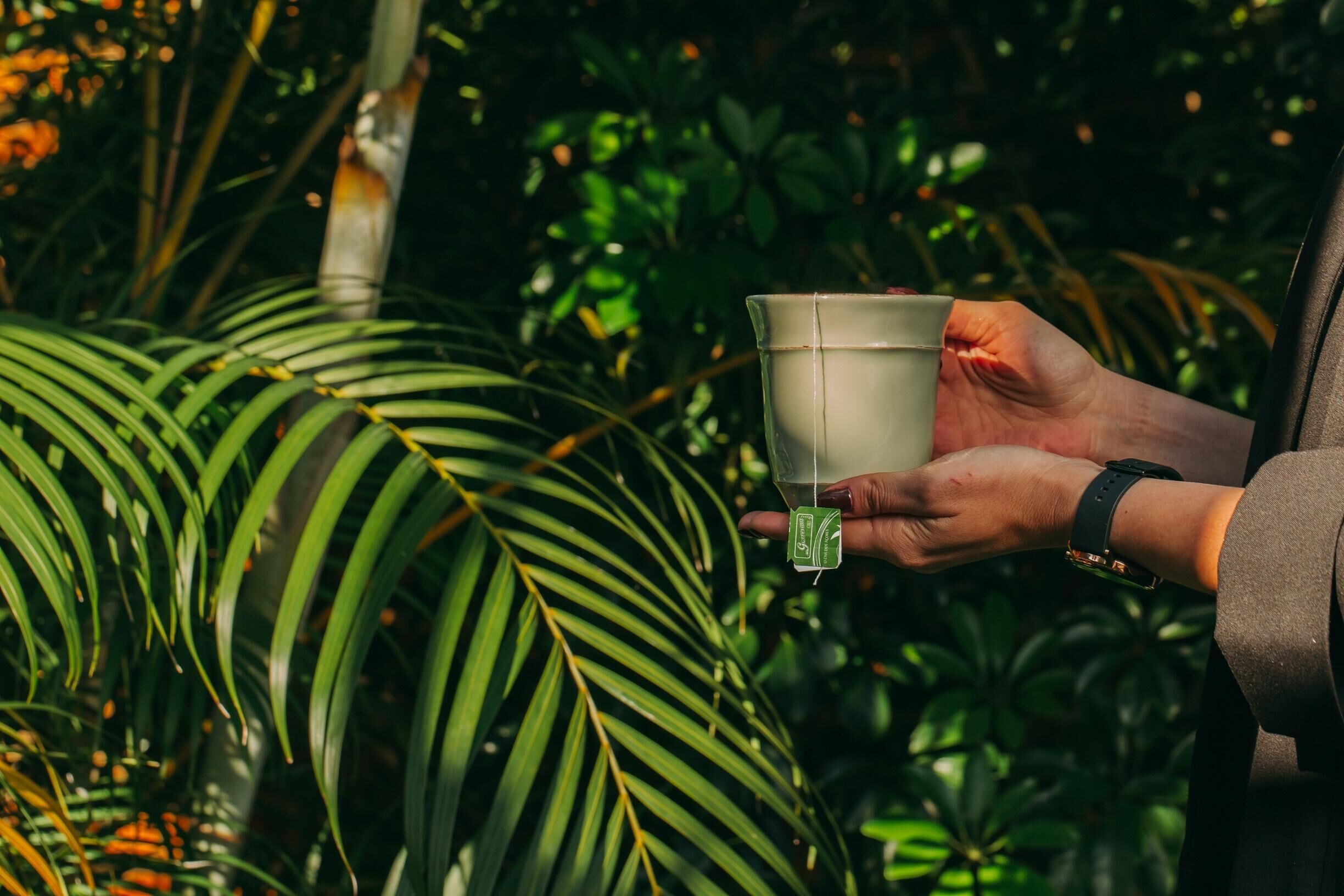Une personne tenant une tasse dont l’étiquette est verte, entourée d’un feuillage verdoyant et luxuriant.