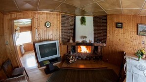 A cozy living room with a fireplace, a television, and wooden walls. - Penzion Mona (Bela pod Pradedem)
