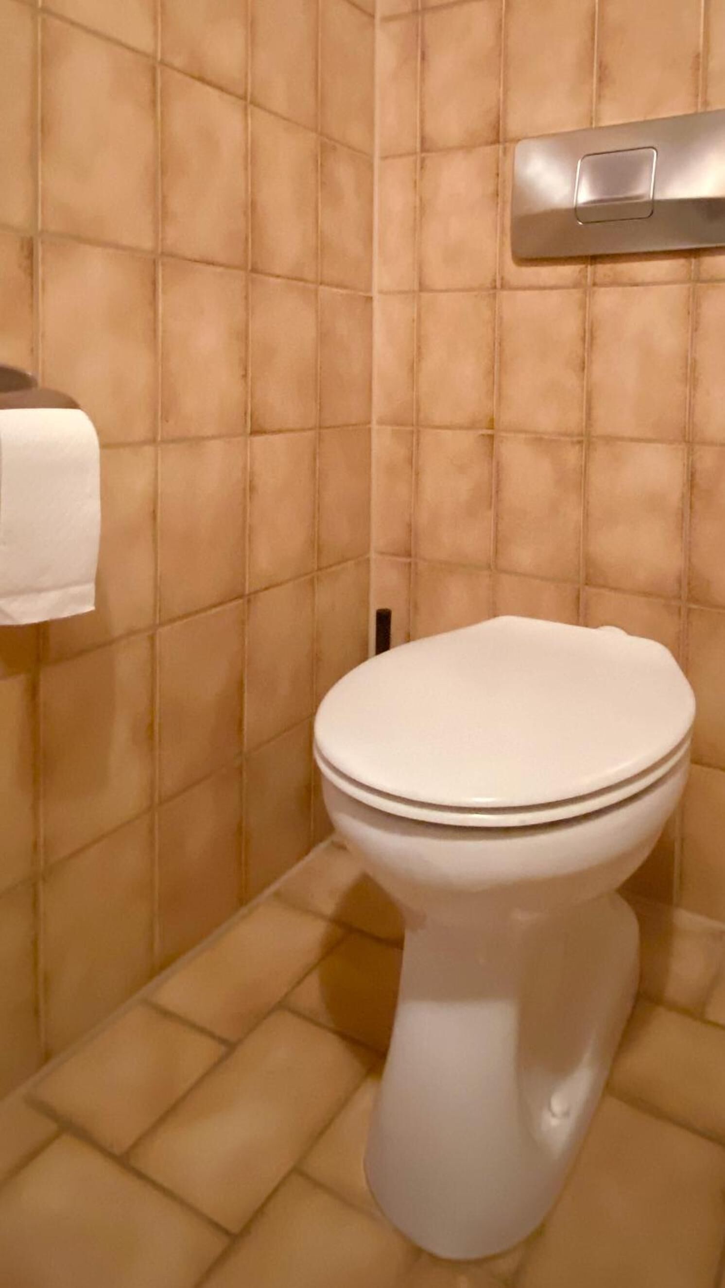 Eine Toilette mit weißem Sitz und Deckel, einem Spülhebel und einem Toilettenpapierhalter an der Wand.
