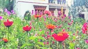 A two-story building with a balcony, surrounded by a garden with various flowers. - Galaxy Guest House (Leh)
