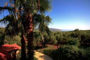 Exterior - Elia Traditional Hotel & Spa (Platanias)