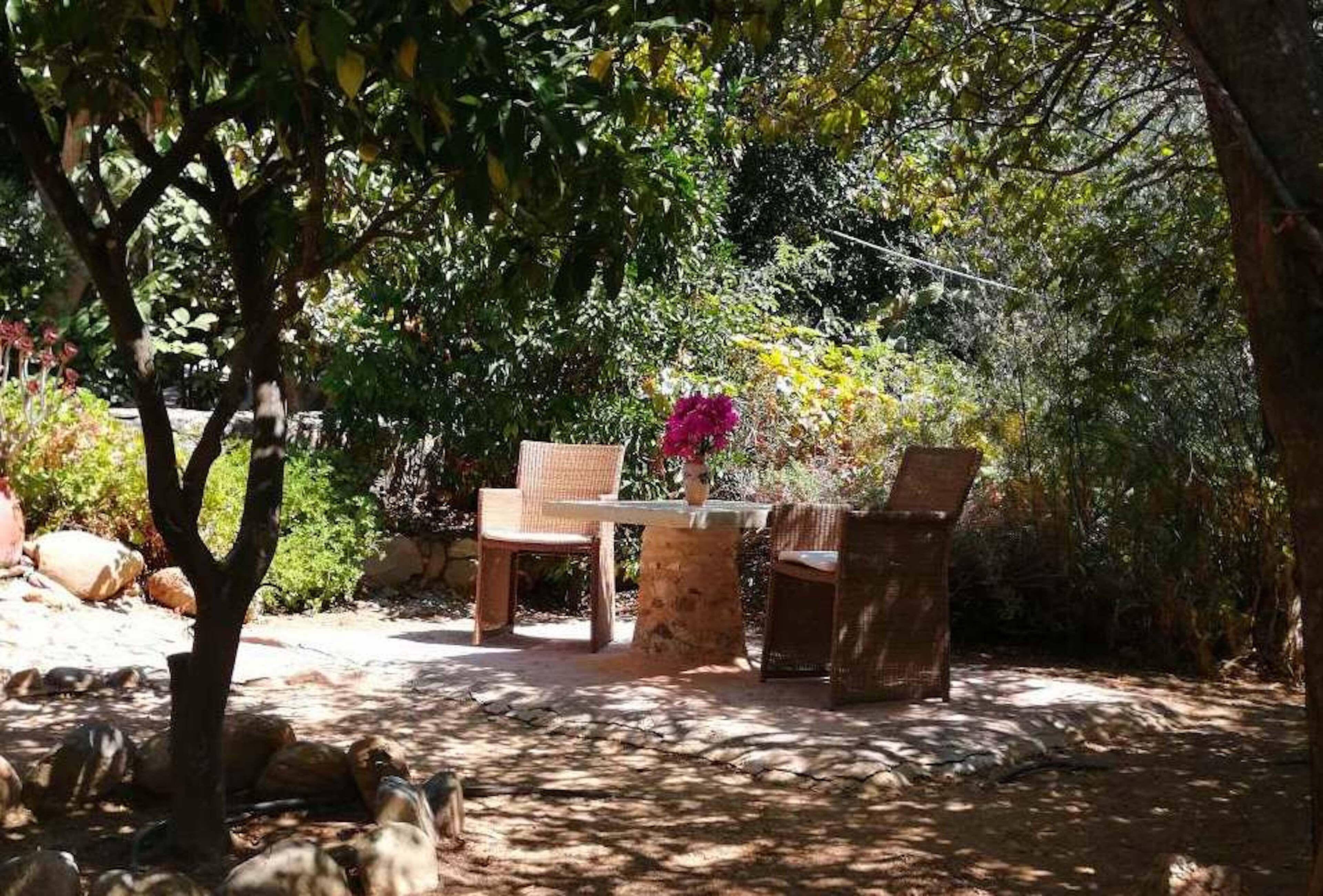 An outdoor seating area with a table and two chairs, surrounded by trees and plants.