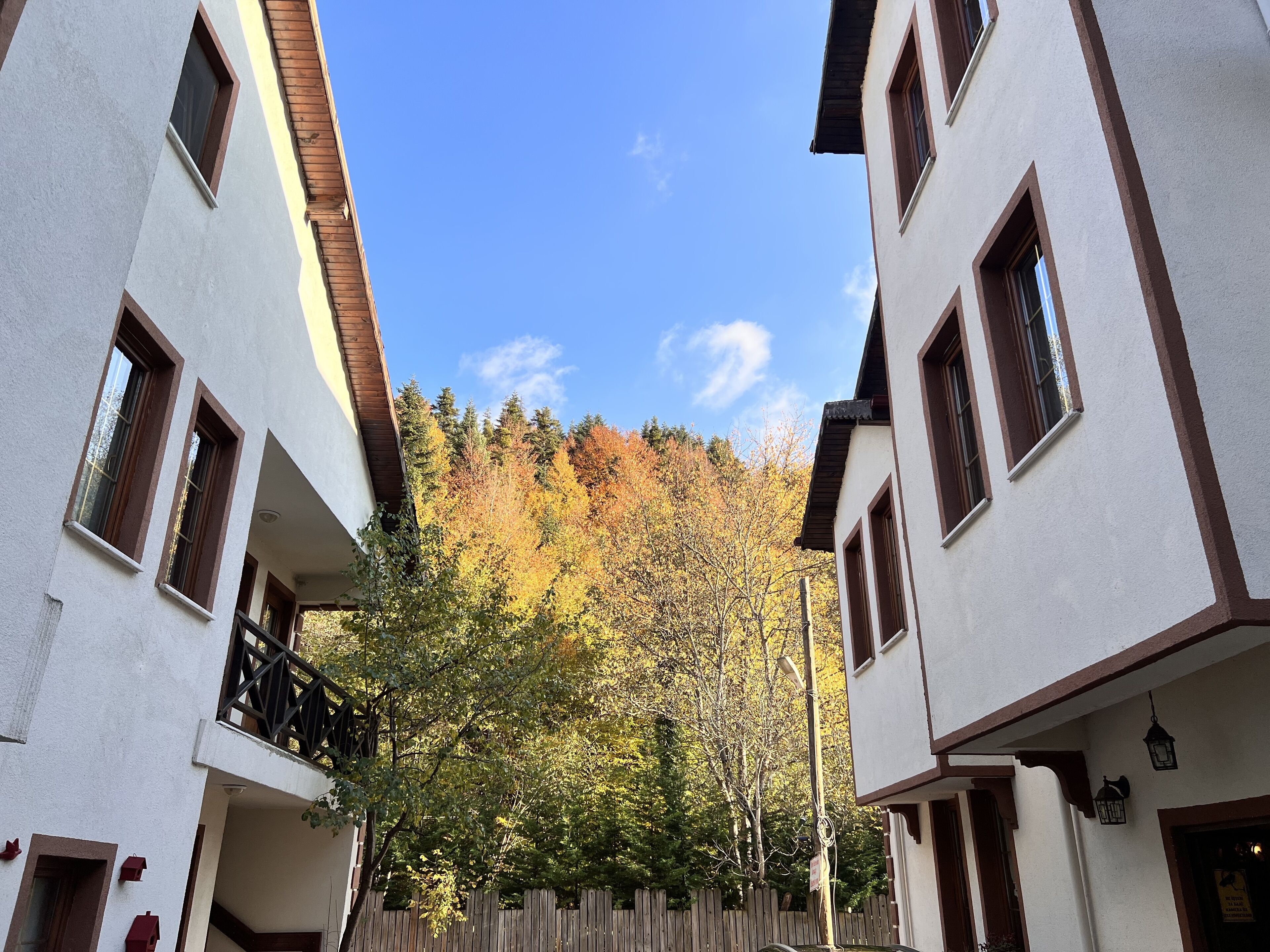 A modern building with a wooden fence and autumn foliage in the background.