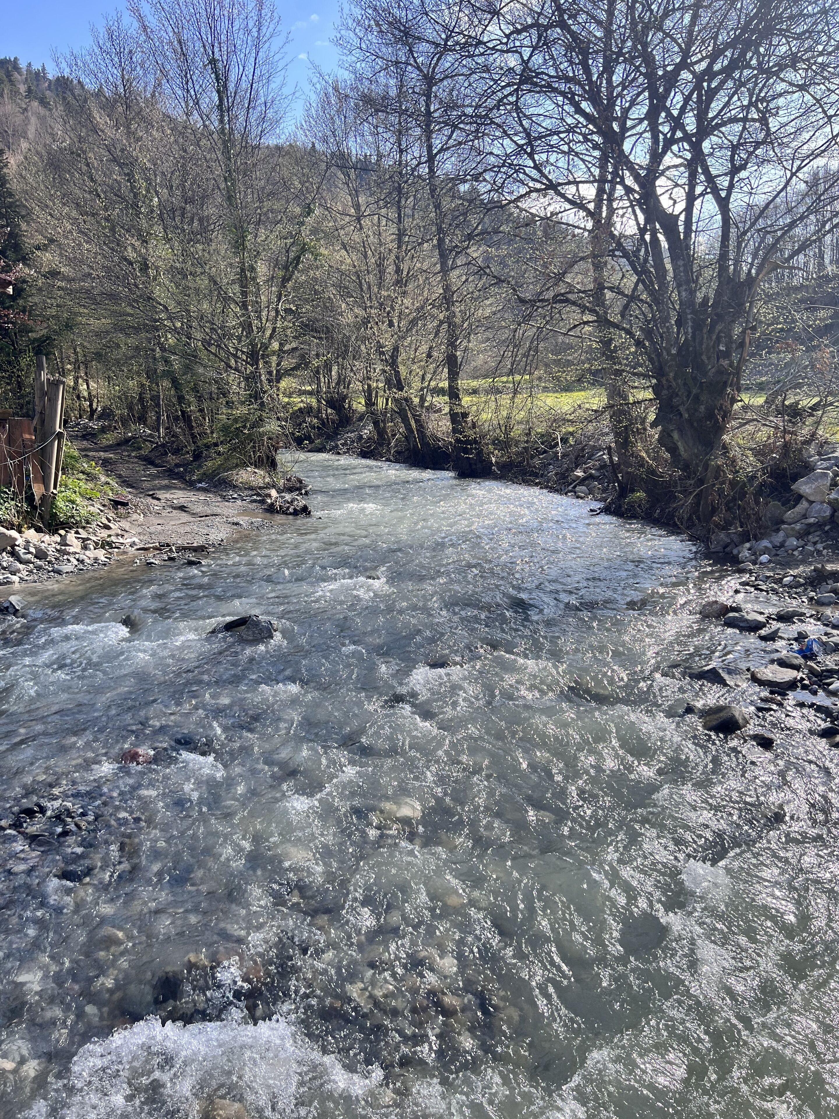 Un río que serpentea por un área boscosa con árboles y rocas.
