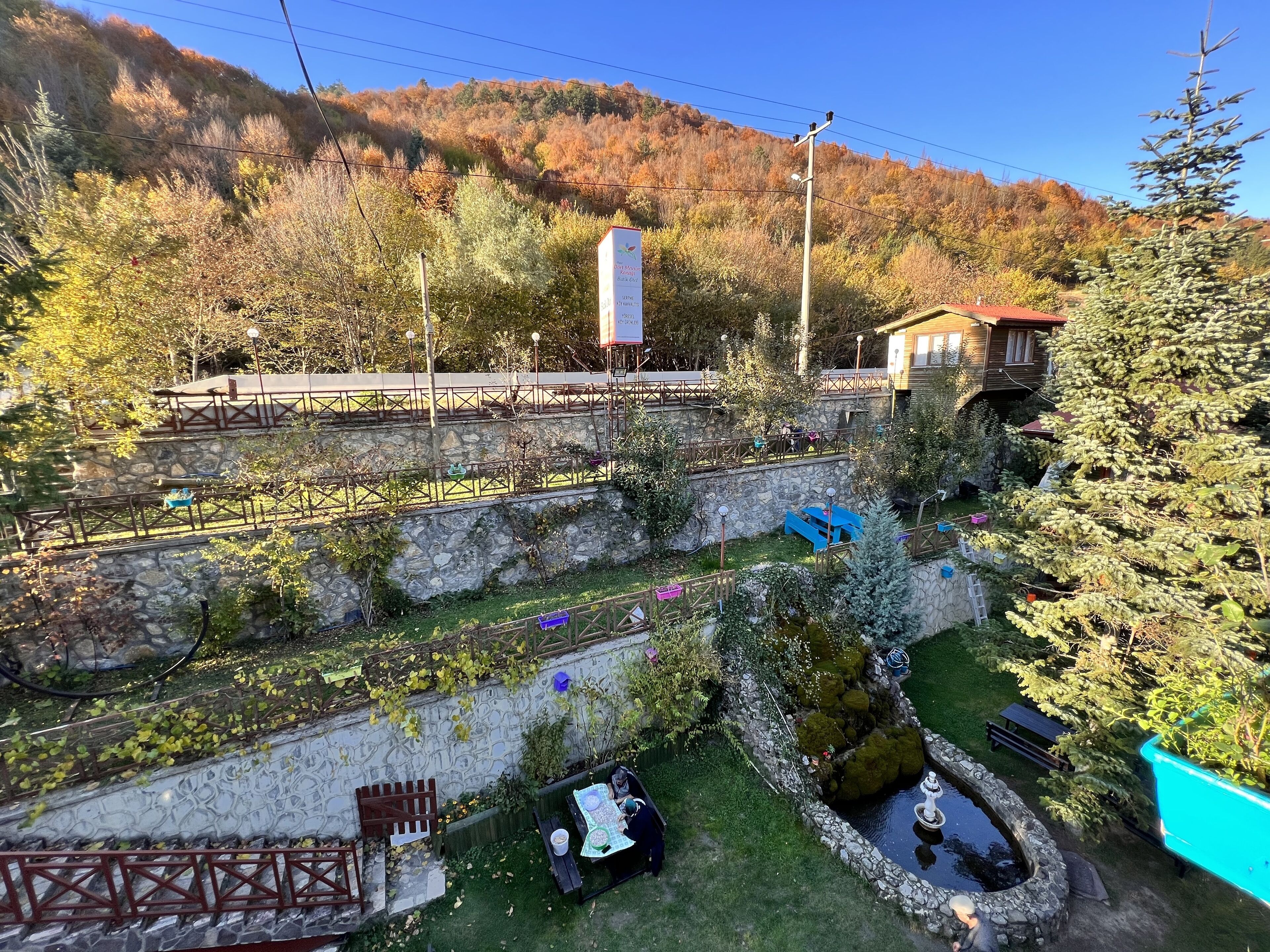 A garden area with a stone wall, a small pond, and a wooden deck.
