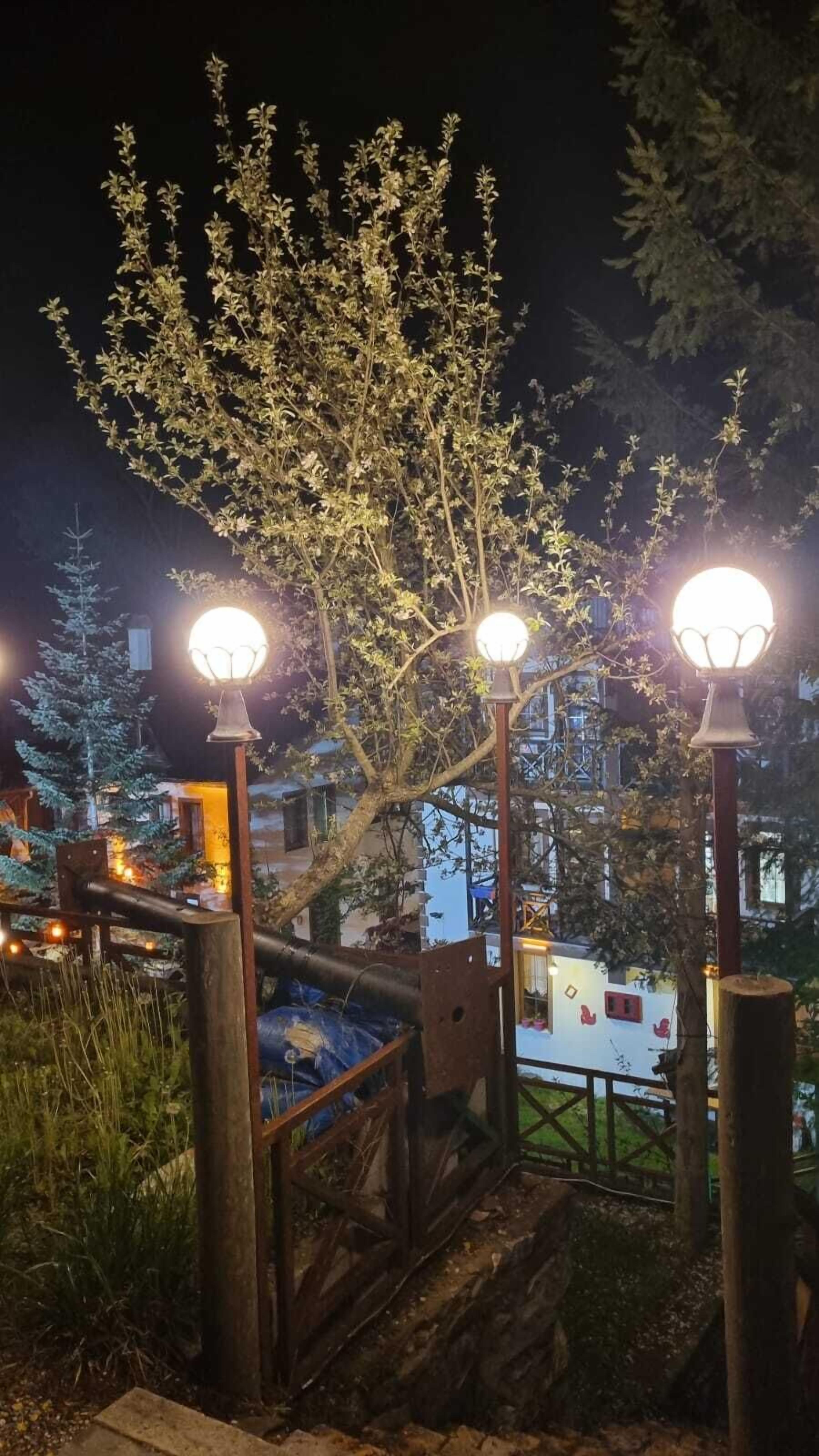 A night scene with a wooden bridge, a tree illuminated by street lamps, and a building in the background.