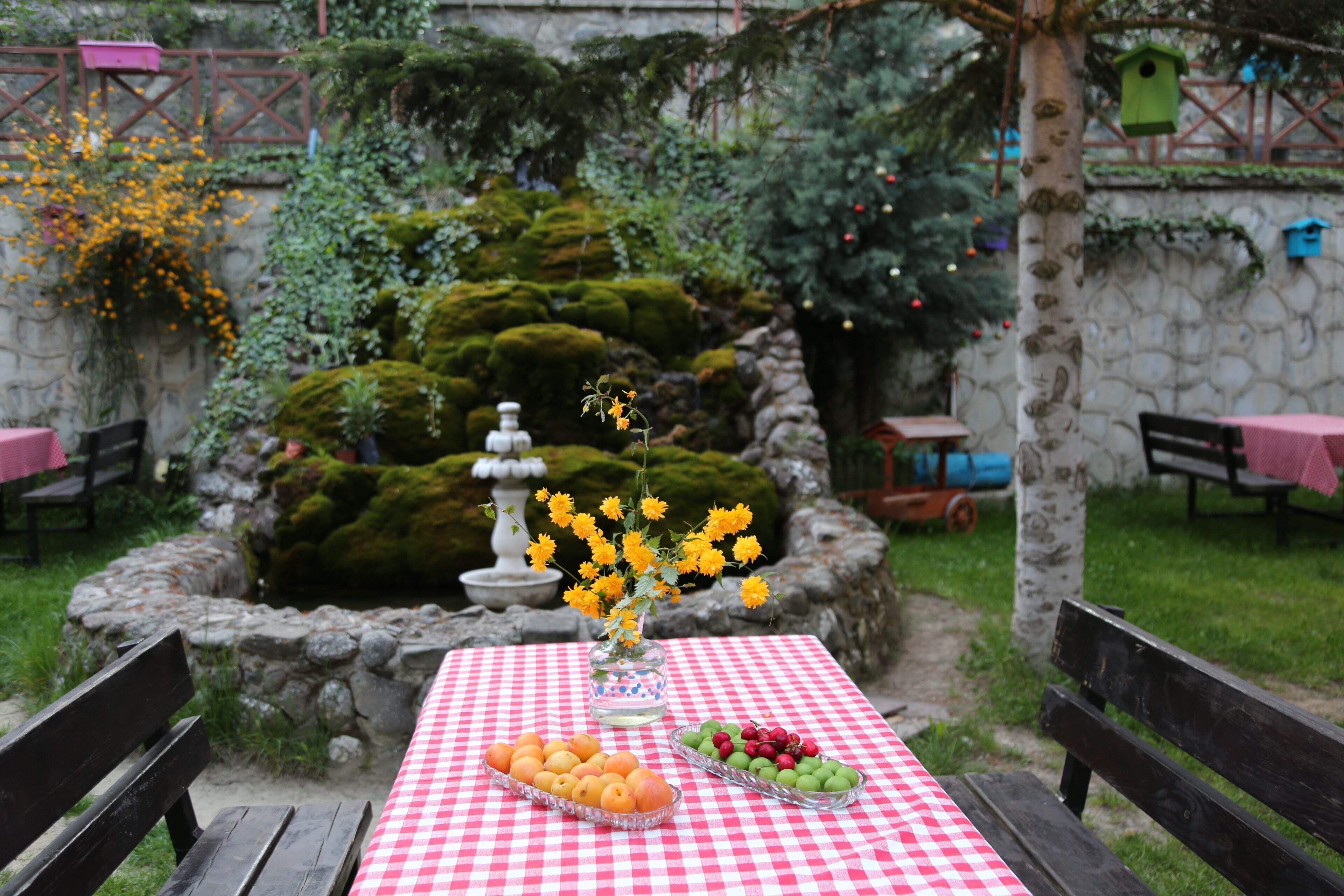 A table with a checkered tablecloth, a vase with flowers, and fruit arranged on it.