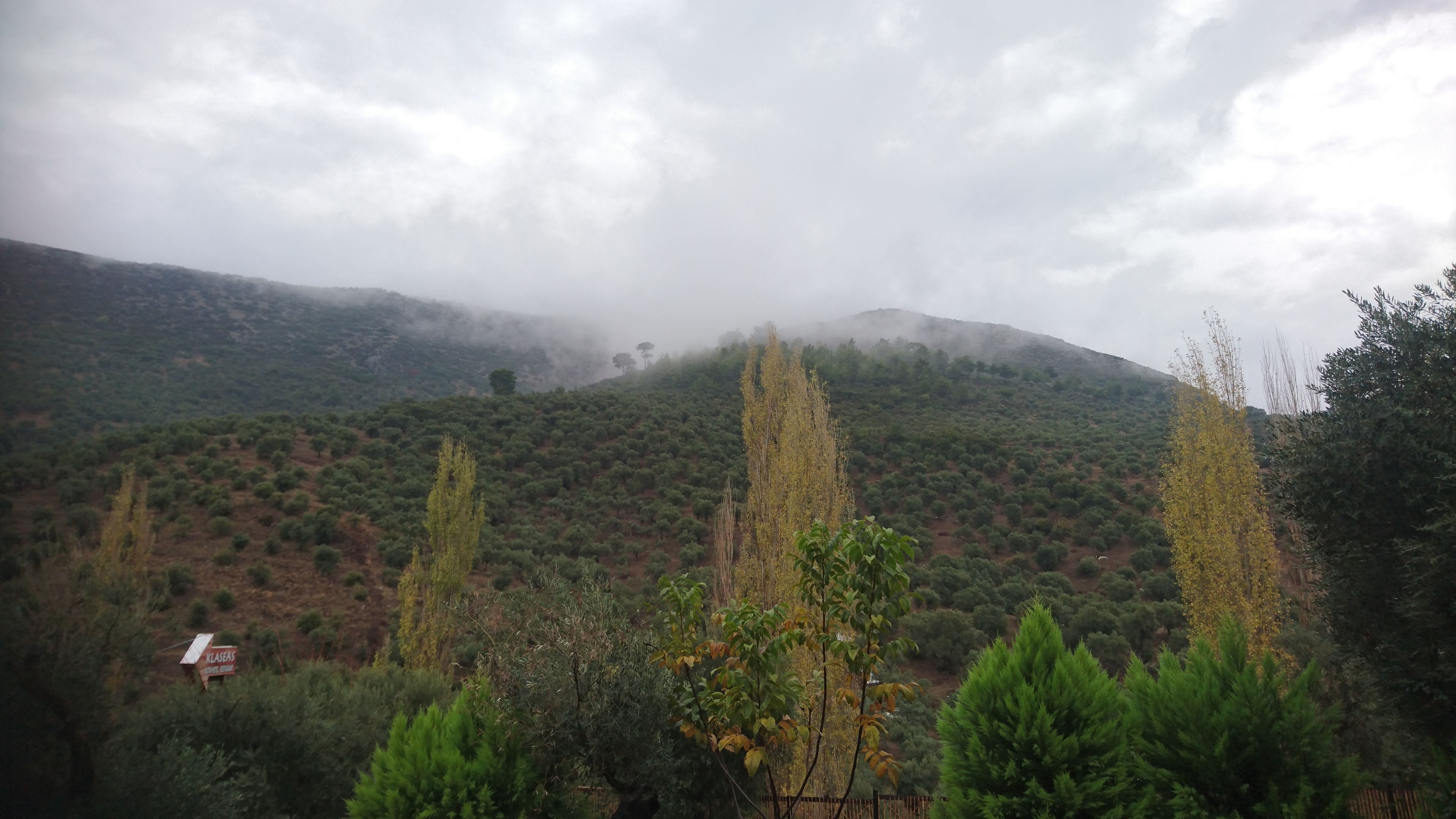 premium double room, 1 double bed, mountain view | mountain view