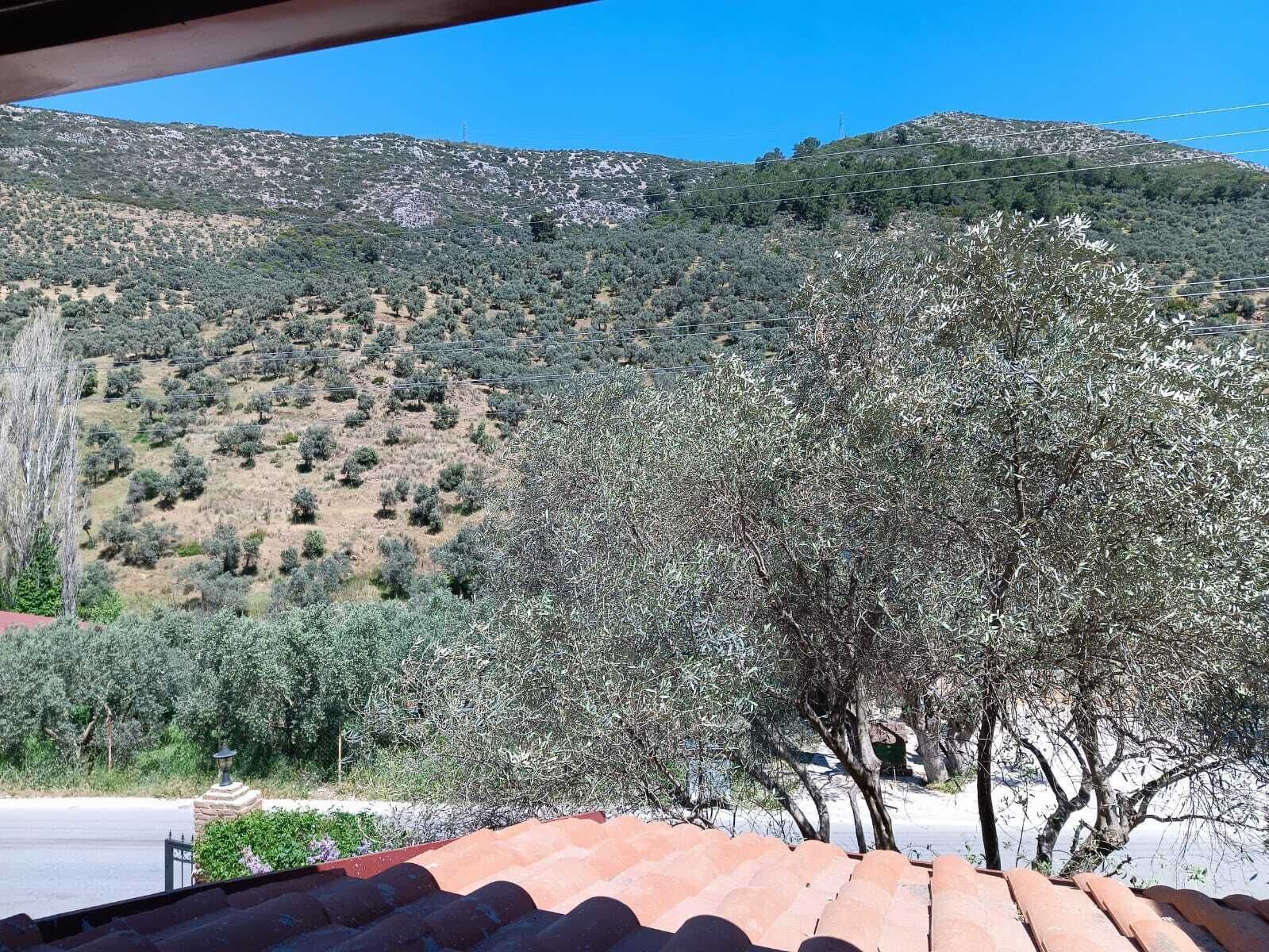 exclusive studio | view from room