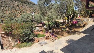 Family Chalet | Mountain view