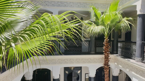 Un patio con una palmera, columnas blancas y barandillas ornamentadas.