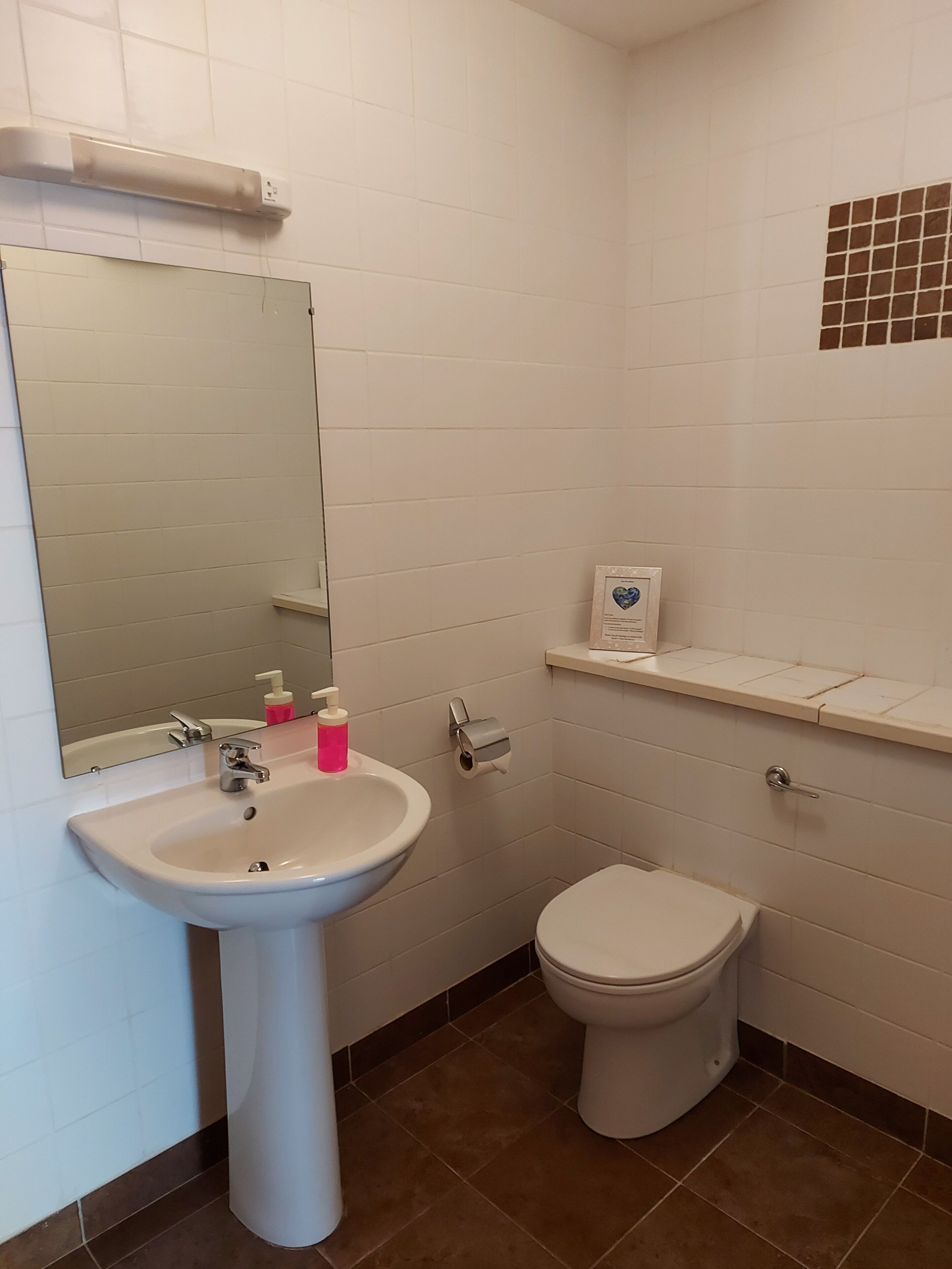 A bathroom with a white sink, a mirror, a toilet, and a shelf with toiletries.