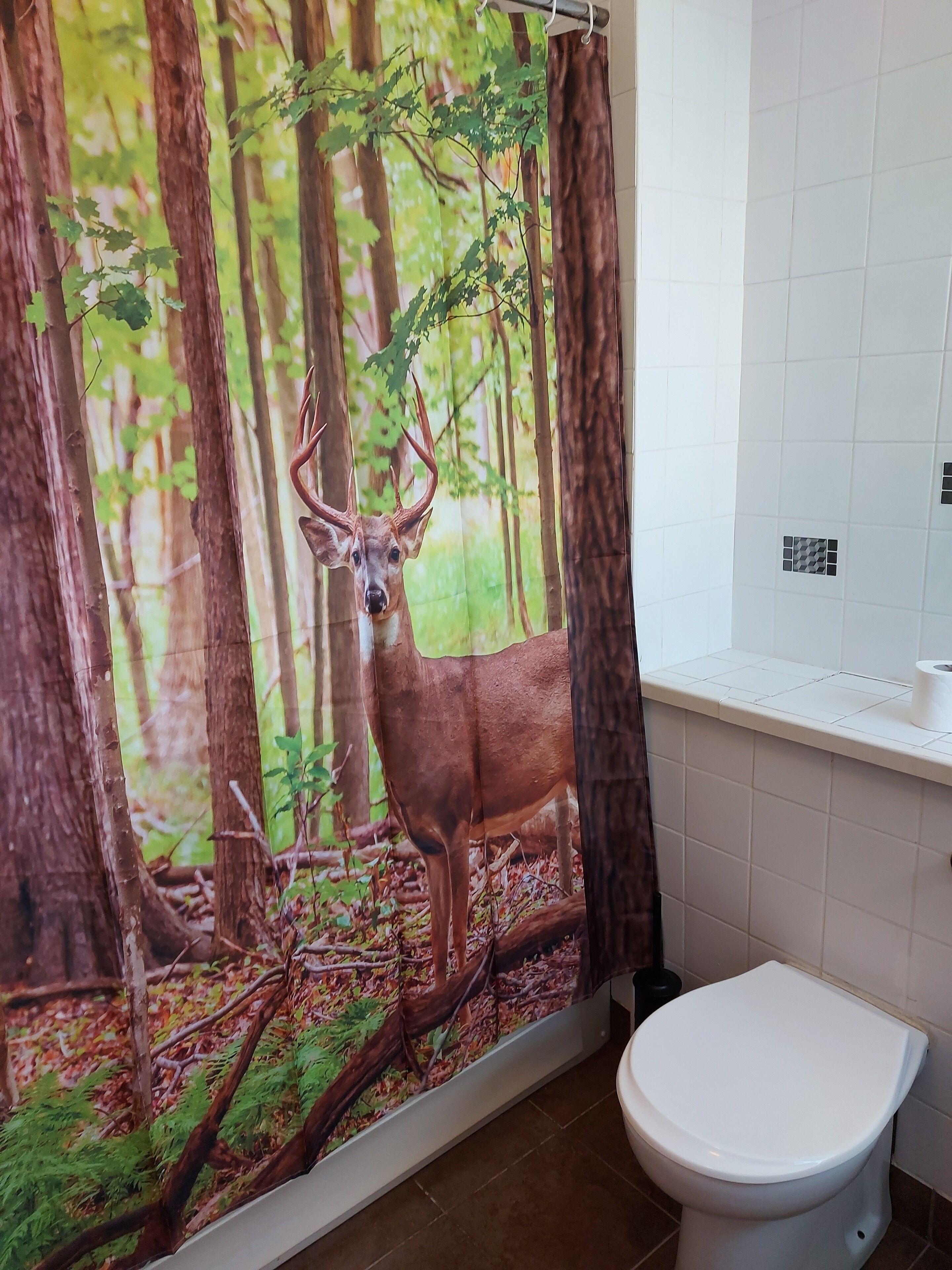 A bathroom with a forest-themed shower curtain, a toilet, and a small window with a view of the outside.