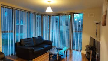 Flat-screen TV