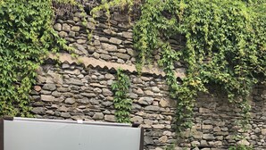 Ein Whirlpool mit Holzverkleidung und einer Steinwand im Hintergrund.