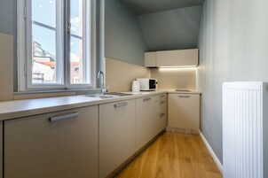 Premium Apartment, 1 Bedroom, Kitchenette, River View (55 sqm) | Private kitchenette | Fridge, microwave, stovetop, espresso maker