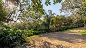 Un sendero pavimentado atraviesa un exuberante jardín con diversas plantas y árboles.