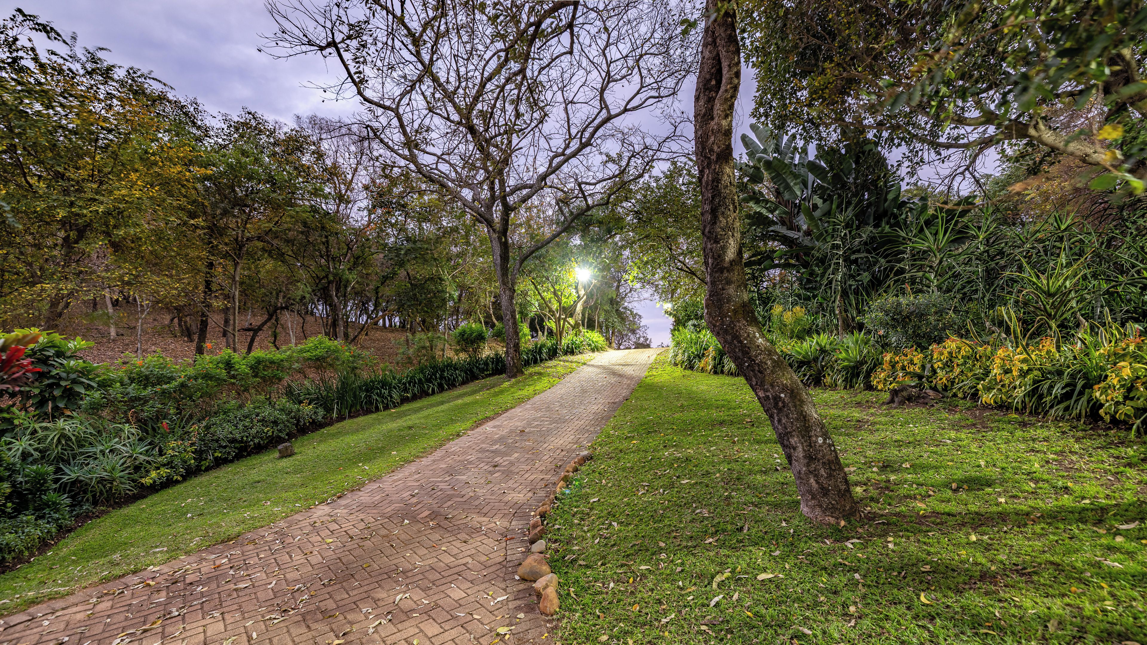 A paved pathway in a park with trees and greenery on both sides.