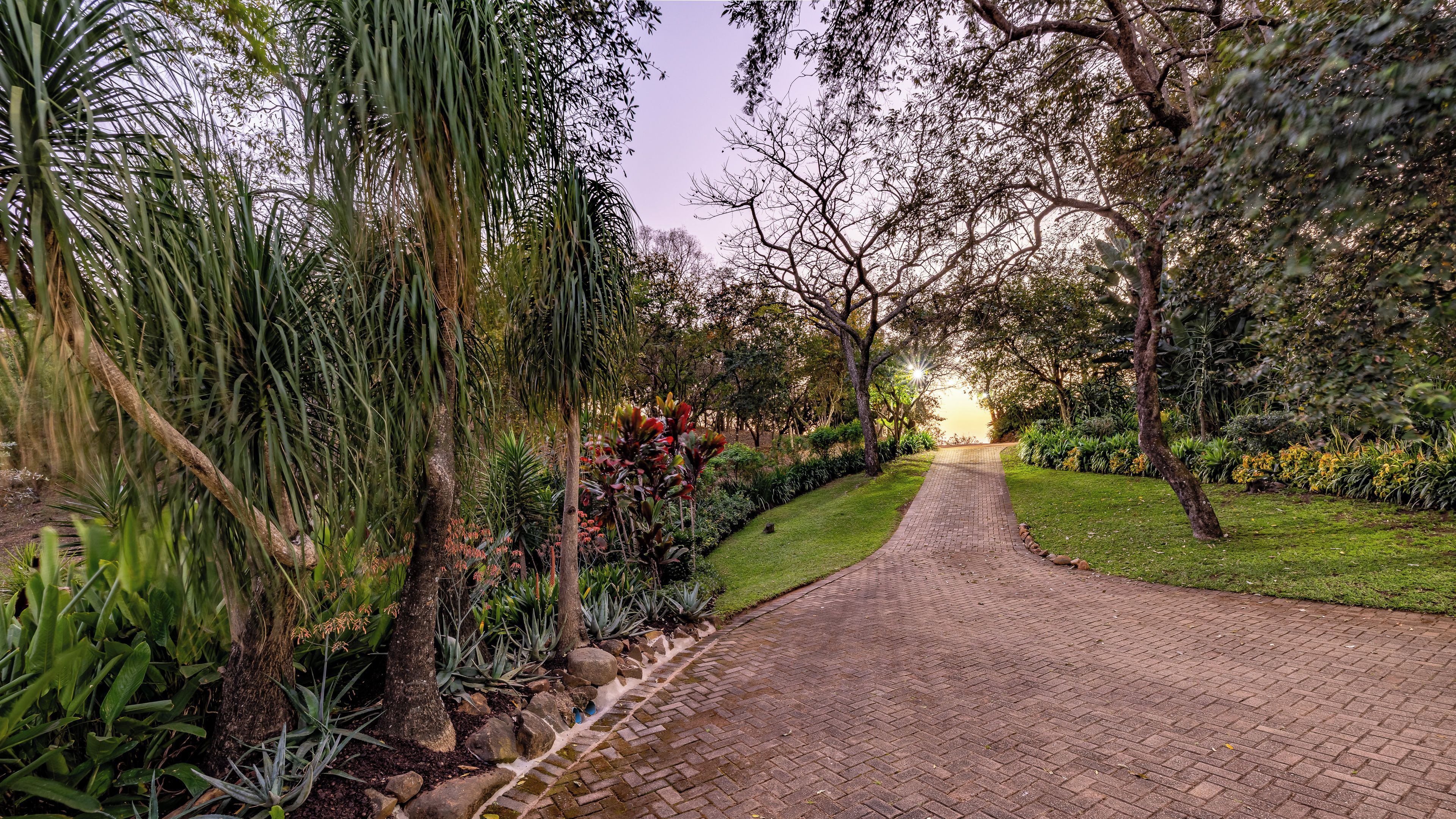 Uma trilha pavimentada em um jardim ajardinado, com diversas plantas e árvores.