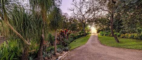 Uma trilha pavimentada em um jardim ajardinado, com diversas plantas e árvores.