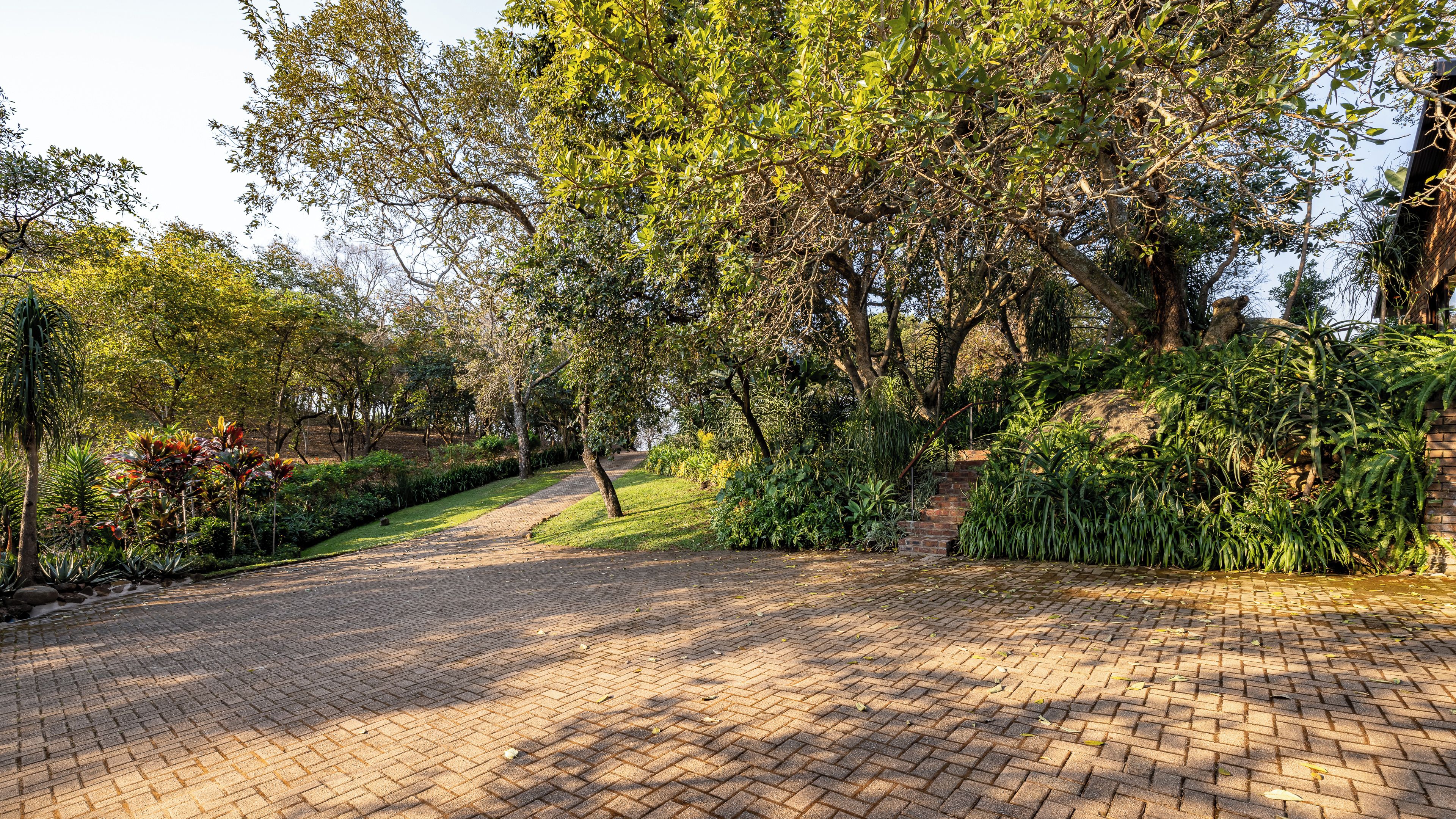 A paved pathway in a park with trees and shrubs.