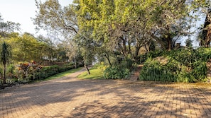 Un sentier pavé dans un parc, bordé d’arbres et d’arbustes.