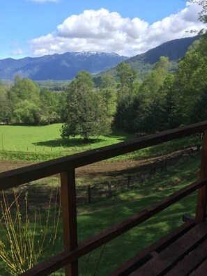 View from room