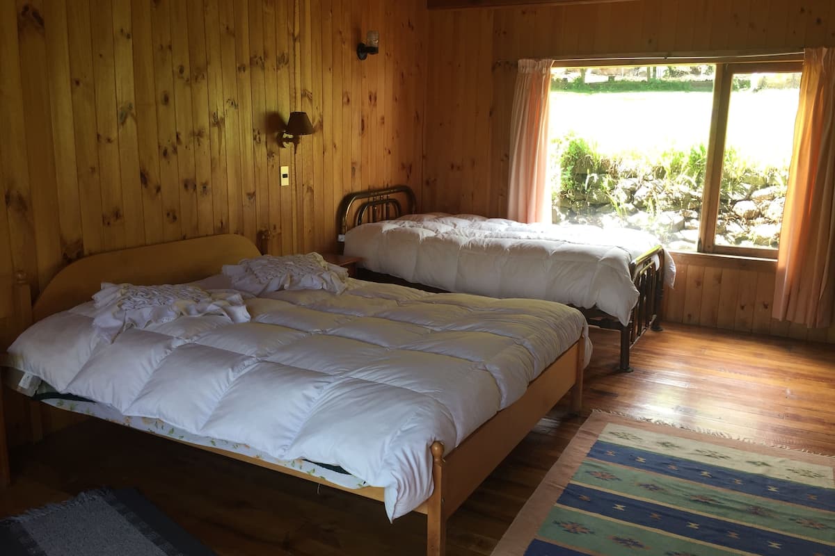 Habitación triple estándar, varias camas, baño privado | Tabla de planchar con plancha