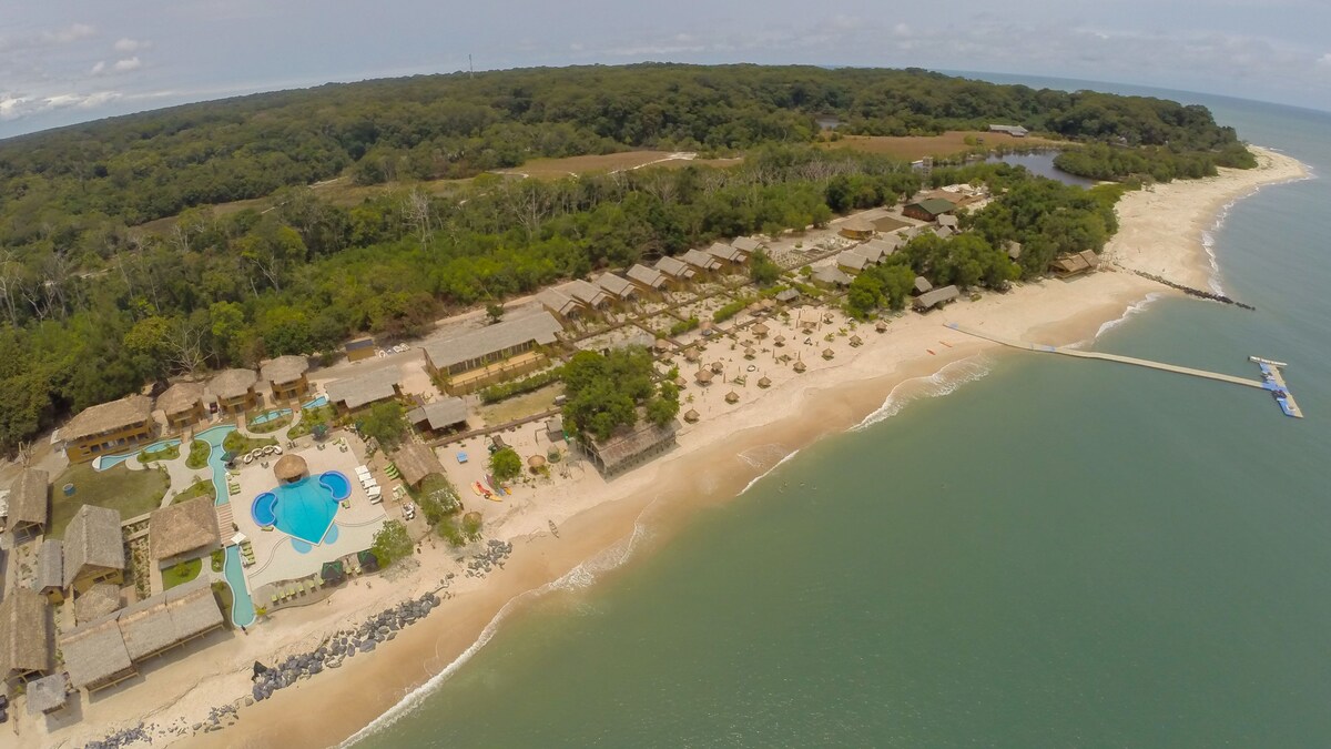 La Baie des Tortues Luth Prix, Avis & Réservation 2023 Expedia.fr