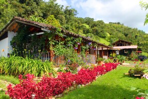 Garden - Refugio Puente Explanacion Ecolodge (Salento)