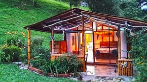 Eine kleine Holzhütte mit Glastür und überdachter Veranda, umgeben von üppiger Vegetation und Blumen.