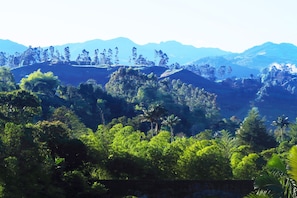 A lush landscape with dense greenery and distant mountains. - Refugio Puente Explanacion Ecolodge (Salento)