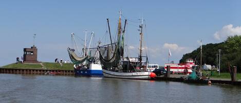A harbor with several fishing boats docked, a small brick building, and a grassy area with people.