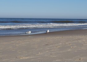 Praia