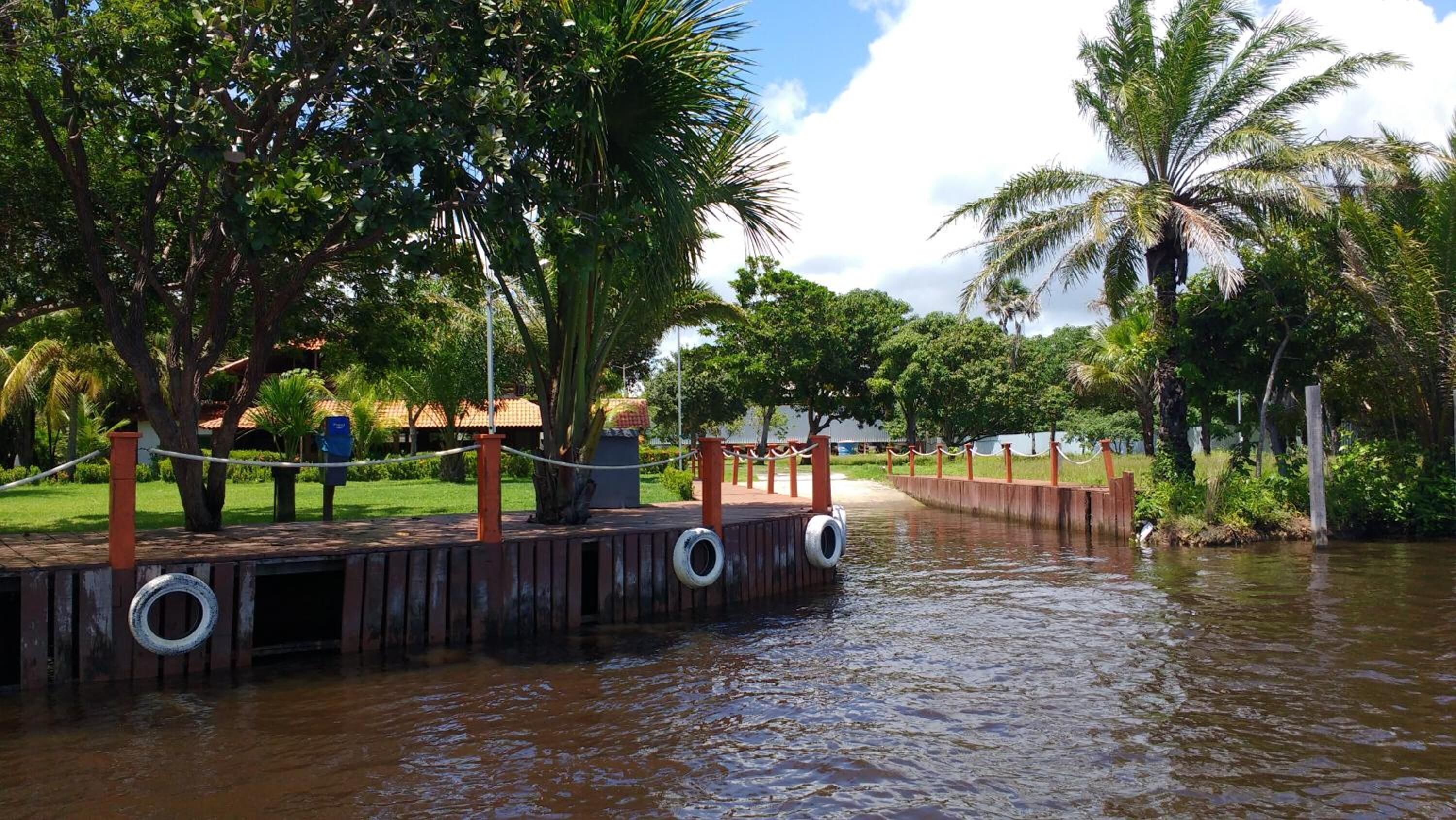 Un muelle de madera con escalones de neumáticos que bajan hacia una masa de agua, rodeado de exuberante vegetación y palmeras.